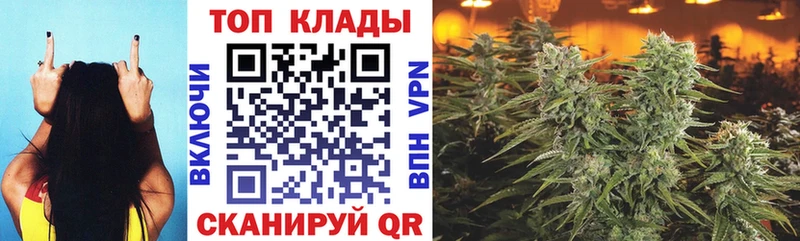 Где можно купить наркотики Бердск АМФ Бутират Кокаин А ПВП Мефедрон Псилоцибиновые грибы Гашиш Конопля