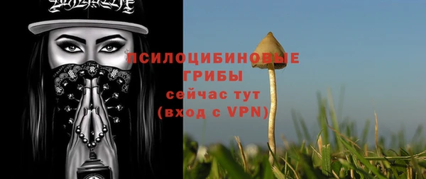 ALPHA PVP Протвино