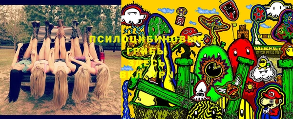 стафф Рославль