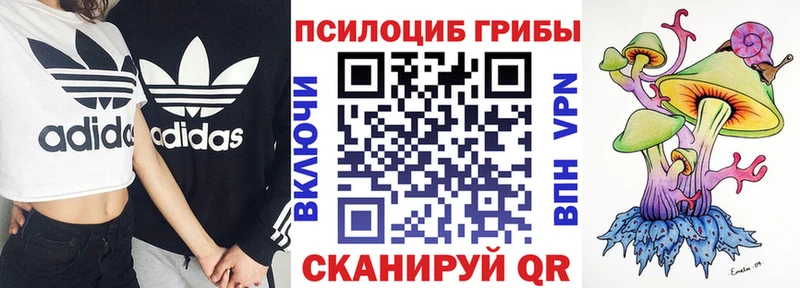 Галлюциногенные грибы Psilocybe  Бердск 