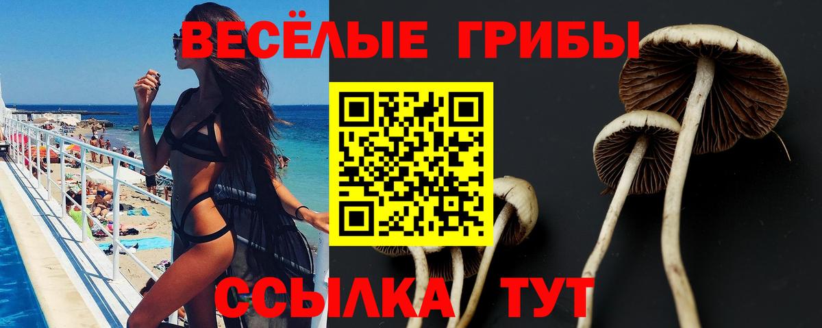 Псилоцибиновые грибы мухоморы  Вход с VPN  Бердск 