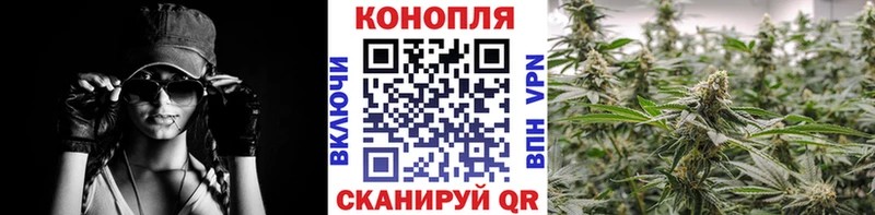Конопля конопля  Бердск 